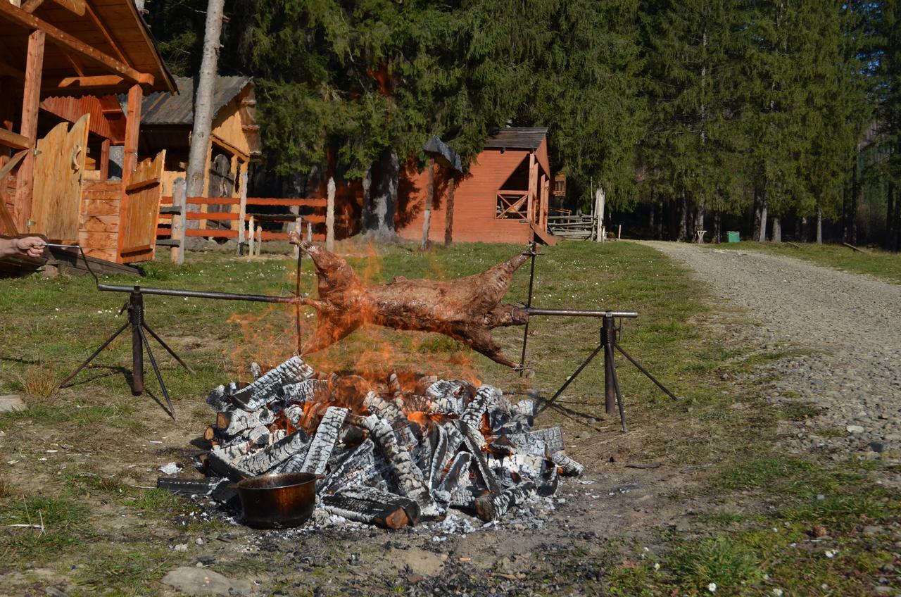 Sadyba Lisova Kvitka Verkhniy Yasenov Esterno foto